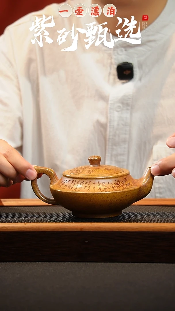 茶壶紫砂 一壶漂泊紫砂茶器