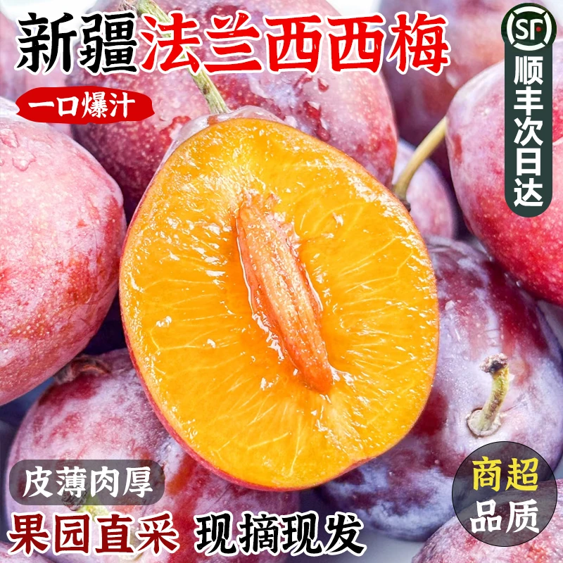 【顺丰次日达】正宗新疆法兰西西梅新鲜水果喀什法兰西西梅应季水果9.9G