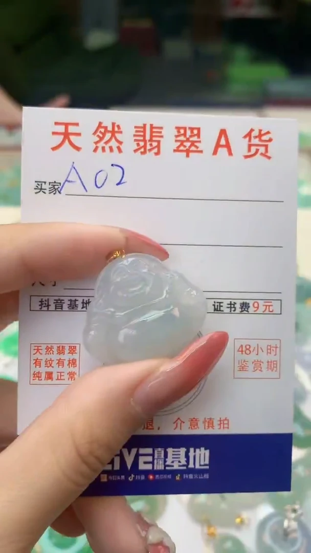 颈饰未镶嵌翡翠天然A货翡翠挂件