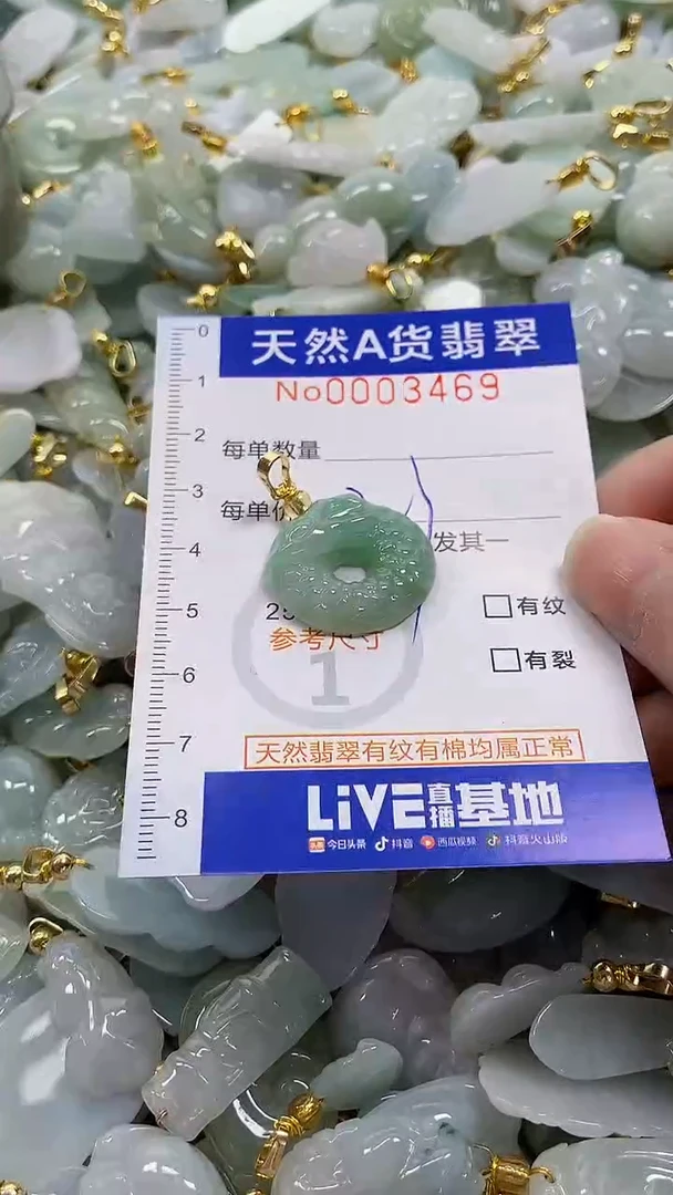 颈饰未镶嵌翡翠纯天然a货翡翠