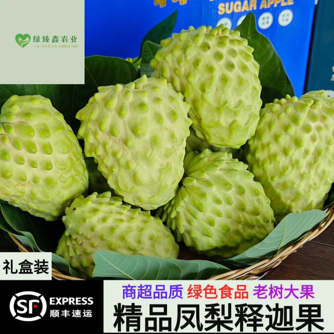 【顺丰包邮】台湾凤梨释迦果当季电白农场大目牛奶凤梨佛头果现摘现