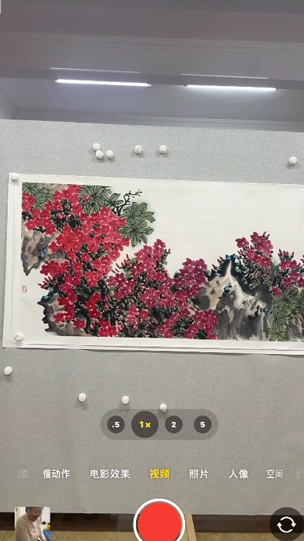 【闪购商品】书法-绘画-庄寿红-8平尺国画