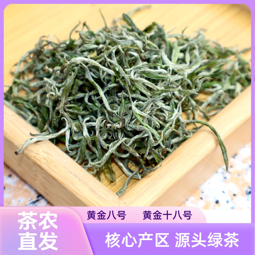 保靖黄金茶明前黄金茶八号十八号头采茶产区高山绿茶特级茶农直发