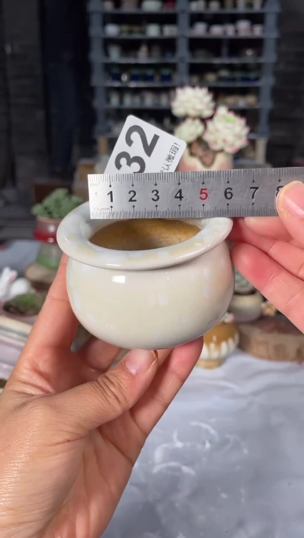 瓷片432小芳直播编号