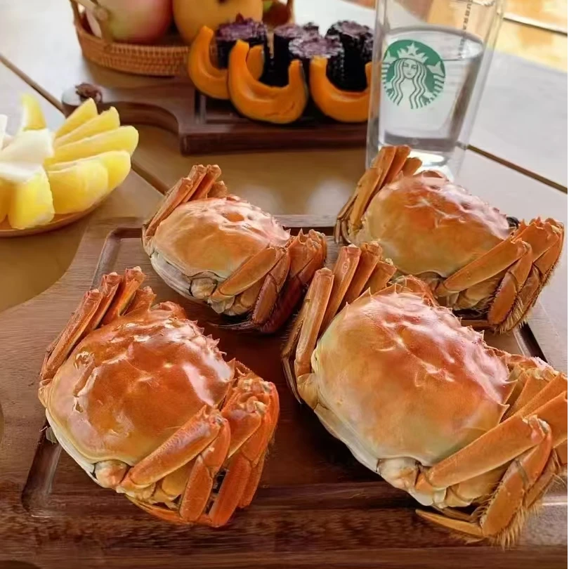 2025年 熟醉蟹全母 顺丰包邮