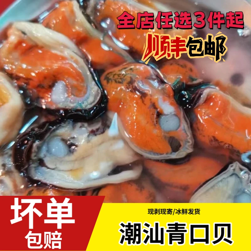 新鲜当天现剥绿壳青口 鲜活淡菜 海虹 冰鲜发货顺丰包邮