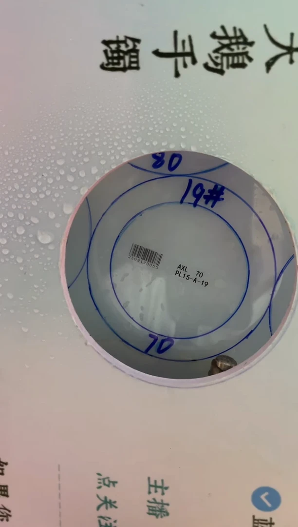 未镶嵌手镯定制翡翠定制手镯WHZB2/DZS