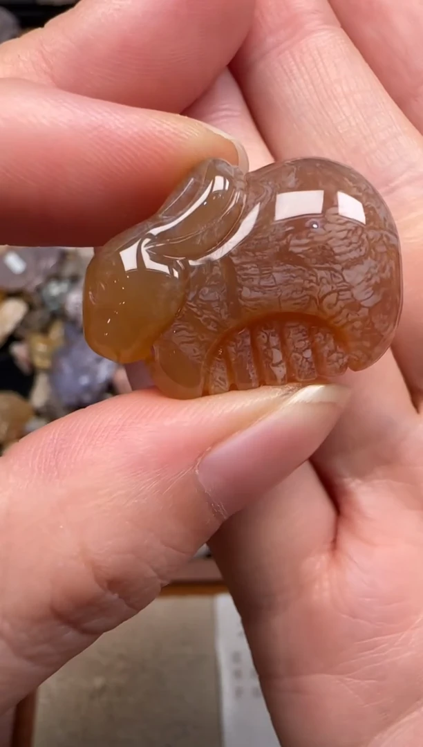 硅化珊瑚（珊瑚玉）未镶嵌颈饰606