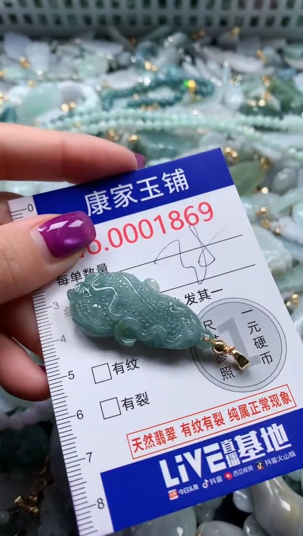颈饰未镶嵌翡翠1869