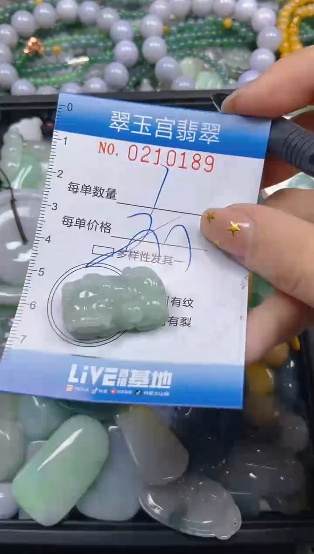 颈饰未镶嵌翡翠闪购C0210189多样性发其一