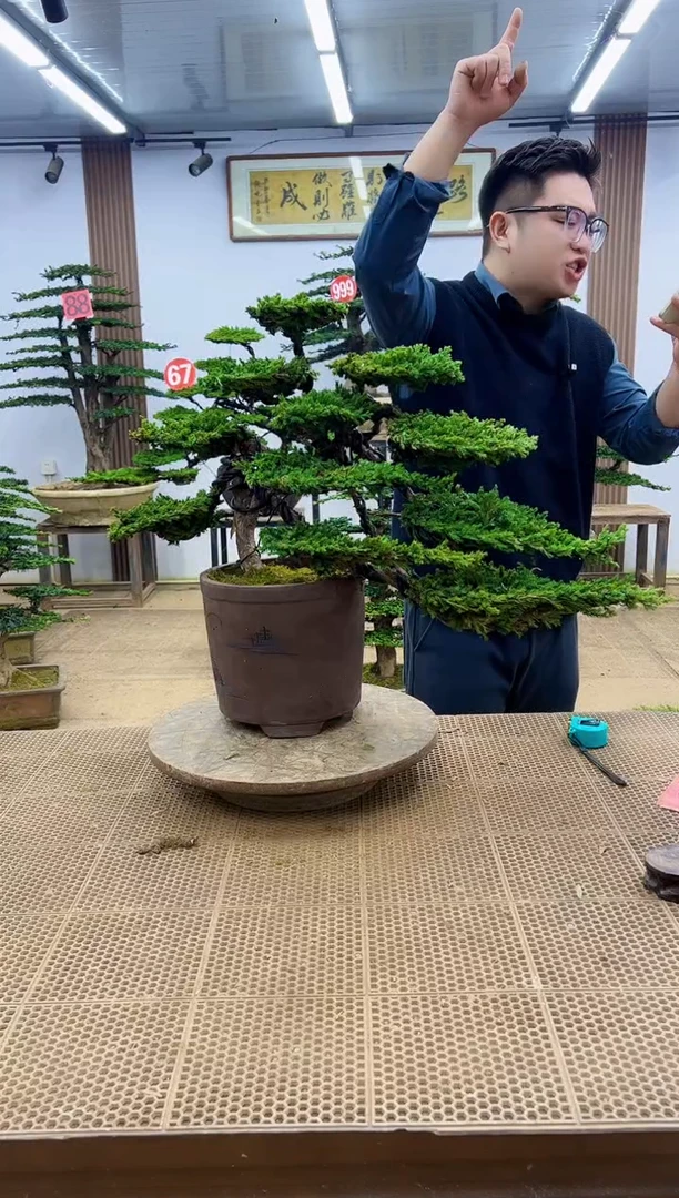 无花朵000000000000