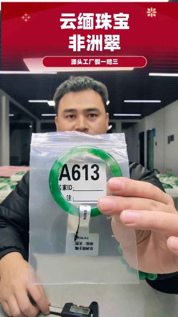 未镶嵌手镯石英质玉（非洲翠）53圈口A613