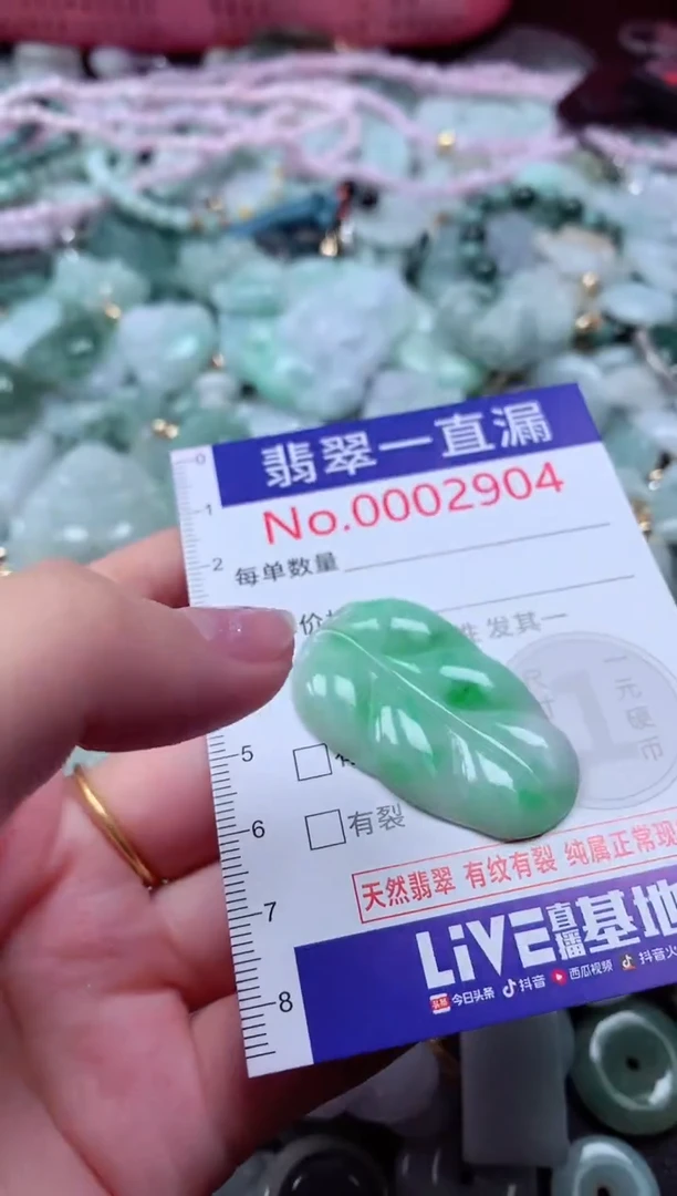 翡翠未镶嵌吊坠(不含链)2904