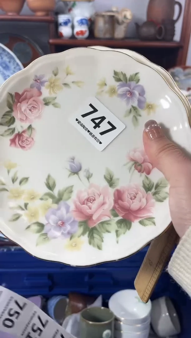 【闪购商品】瓷片747..............