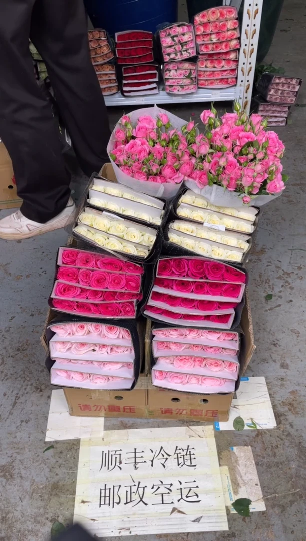 粉荔枝20枝+佛洛依德20枝+骄傲20枝+苏菲10枝