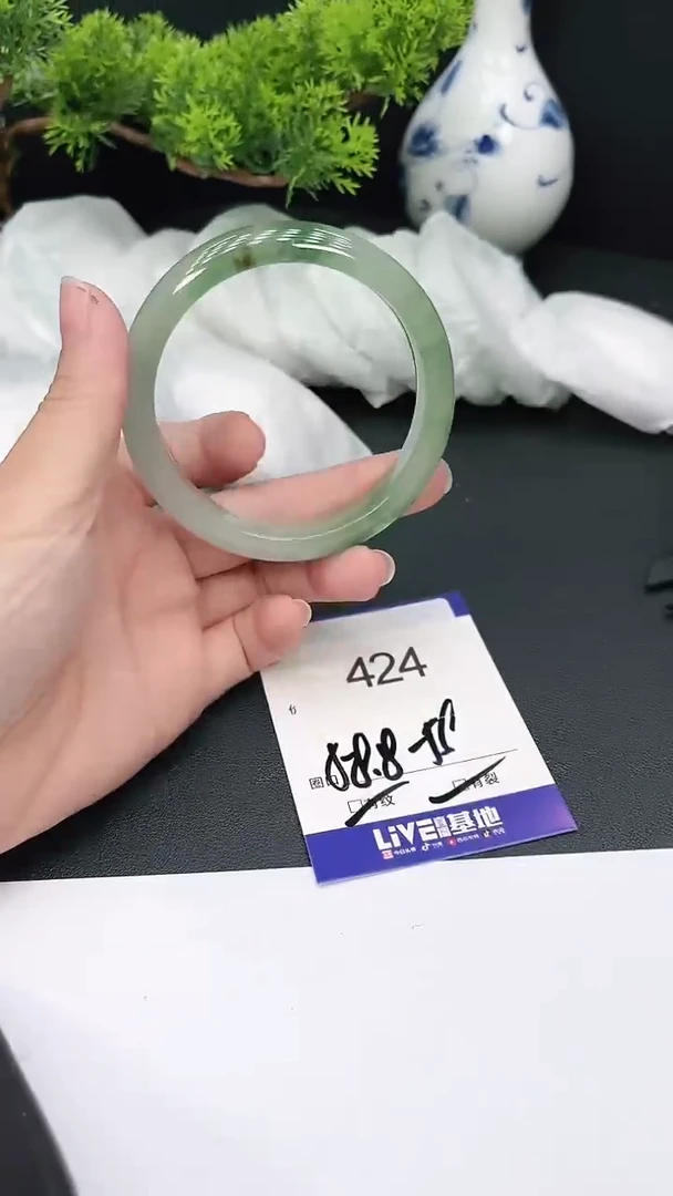 未镶嵌手镯翡翠424