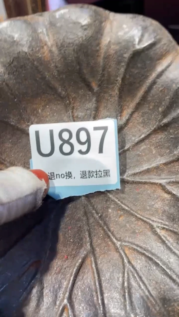 瓷片表姐直播链接火爆火爆