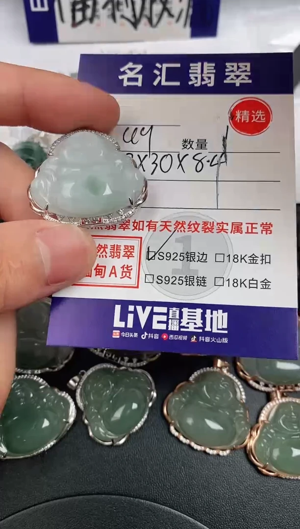 翡翠银S925镶嵌颈饰·