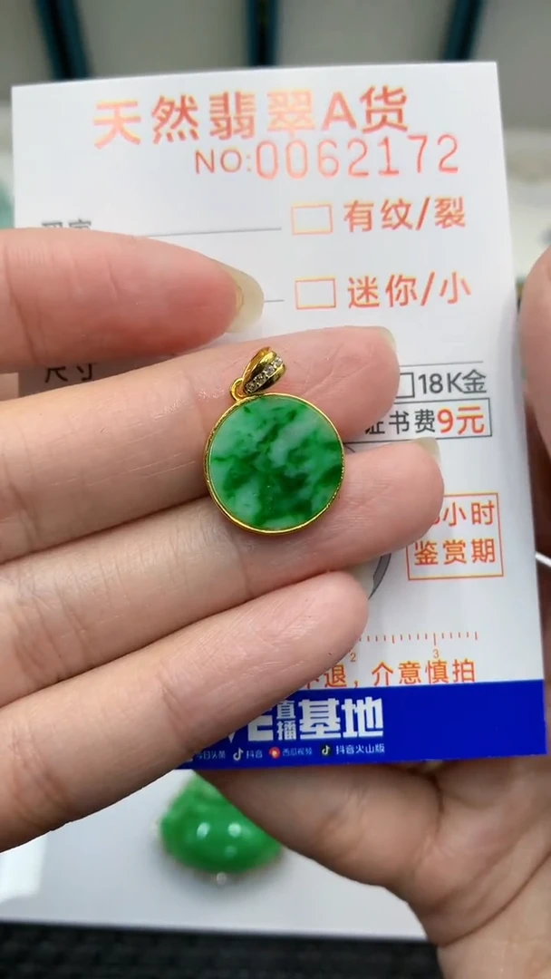 【闪购商品】翡翠颈饰银S925镶嵌            8