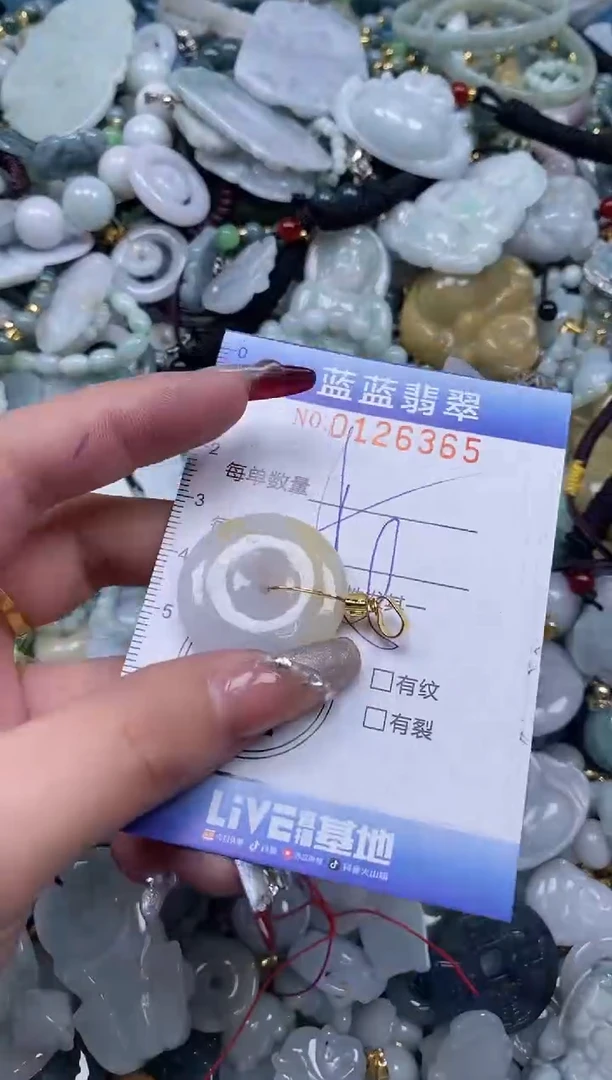 【闪购商品】翡翠颈饰未镶嵌闪购0126365多样性发其一