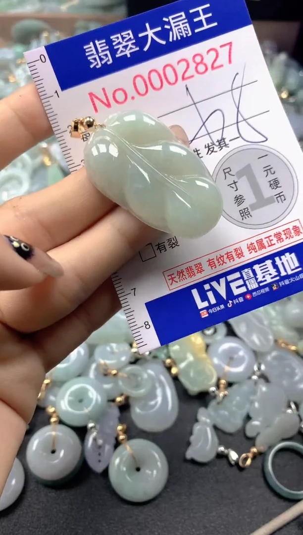 颈饰未镶嵌翡翠2827