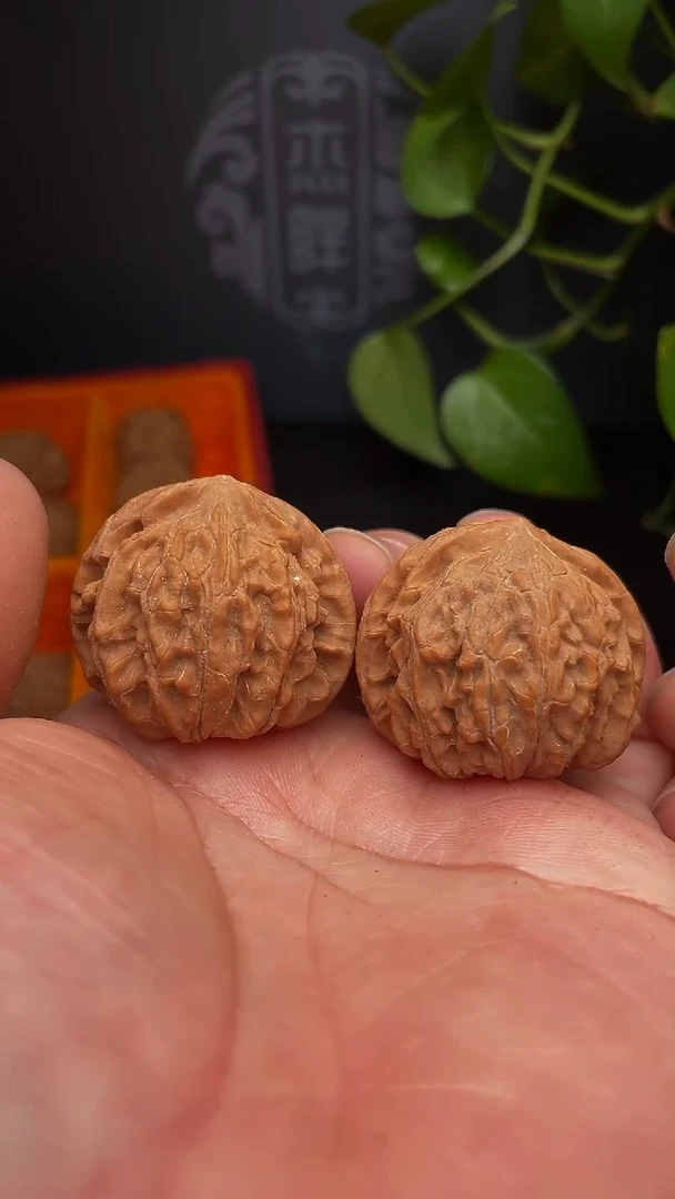 【闪购商品】文玩核桃把件玉龙粗筋38尺（全品，福利团）