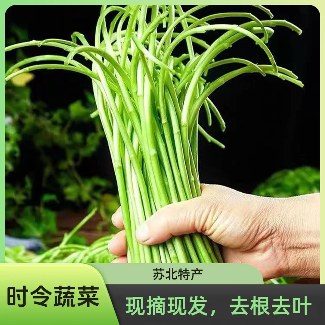 农家1/2/3/5半斤新鲜黎蒿去叶藜蒿芦蒿菜蔬菜嫩泥蒿蓠蒿申通包邮