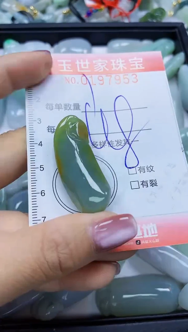 【闪购商品】翡翠颈饰未镶嵌闪购0197953