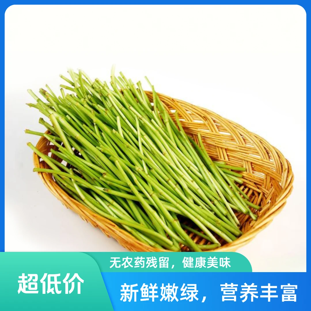 新鲜芦蒿300g±5g