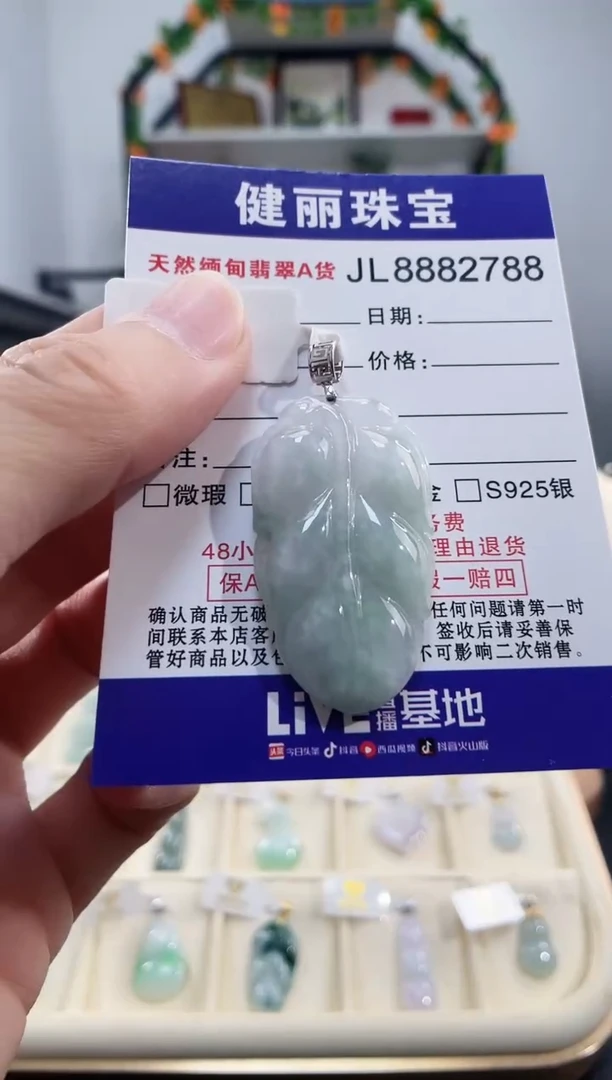 颈饰18K金镶嵌翡翠天然缅甸翡翠 金枝玉叶(一物一证)+银链