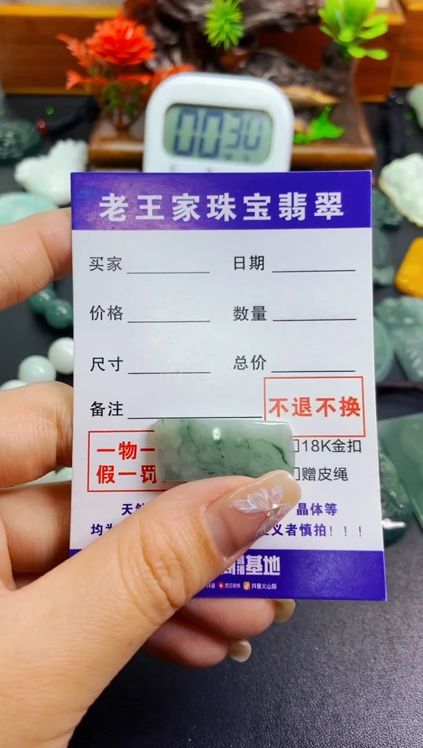 【闪购商品】翡翠颈饰未镶嵌料子