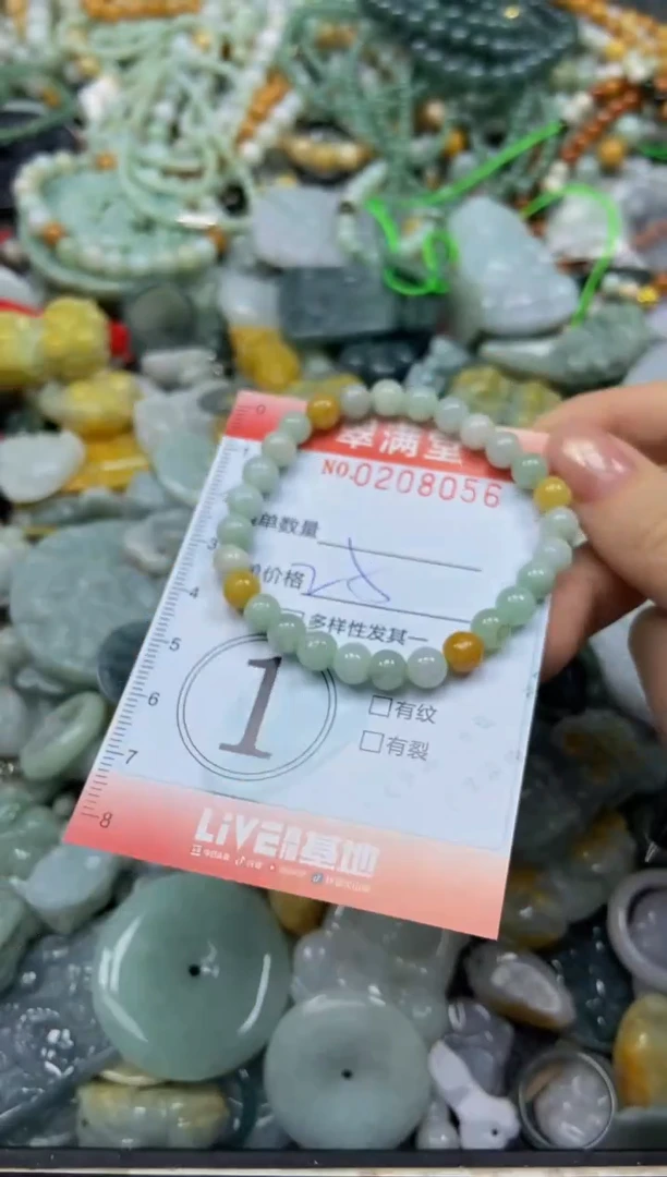 颈饰未镶嵌翡翠闪购0208056