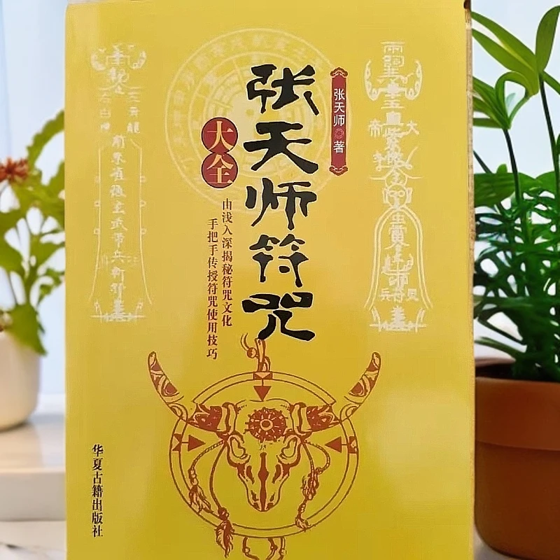 张天师符咒大全符法全书完整版符箓父亲节儿童节