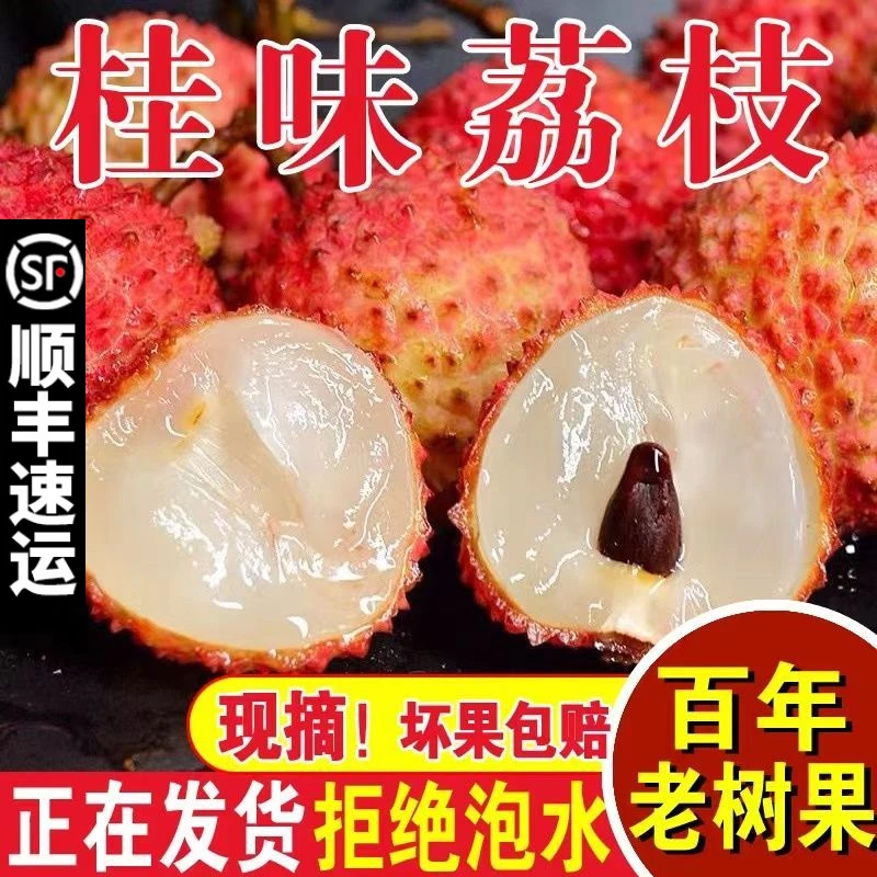 【顺丰/京东冷链】广东桂味荔枝茂名高州新鲜现摘应季水果整箱3/5斤