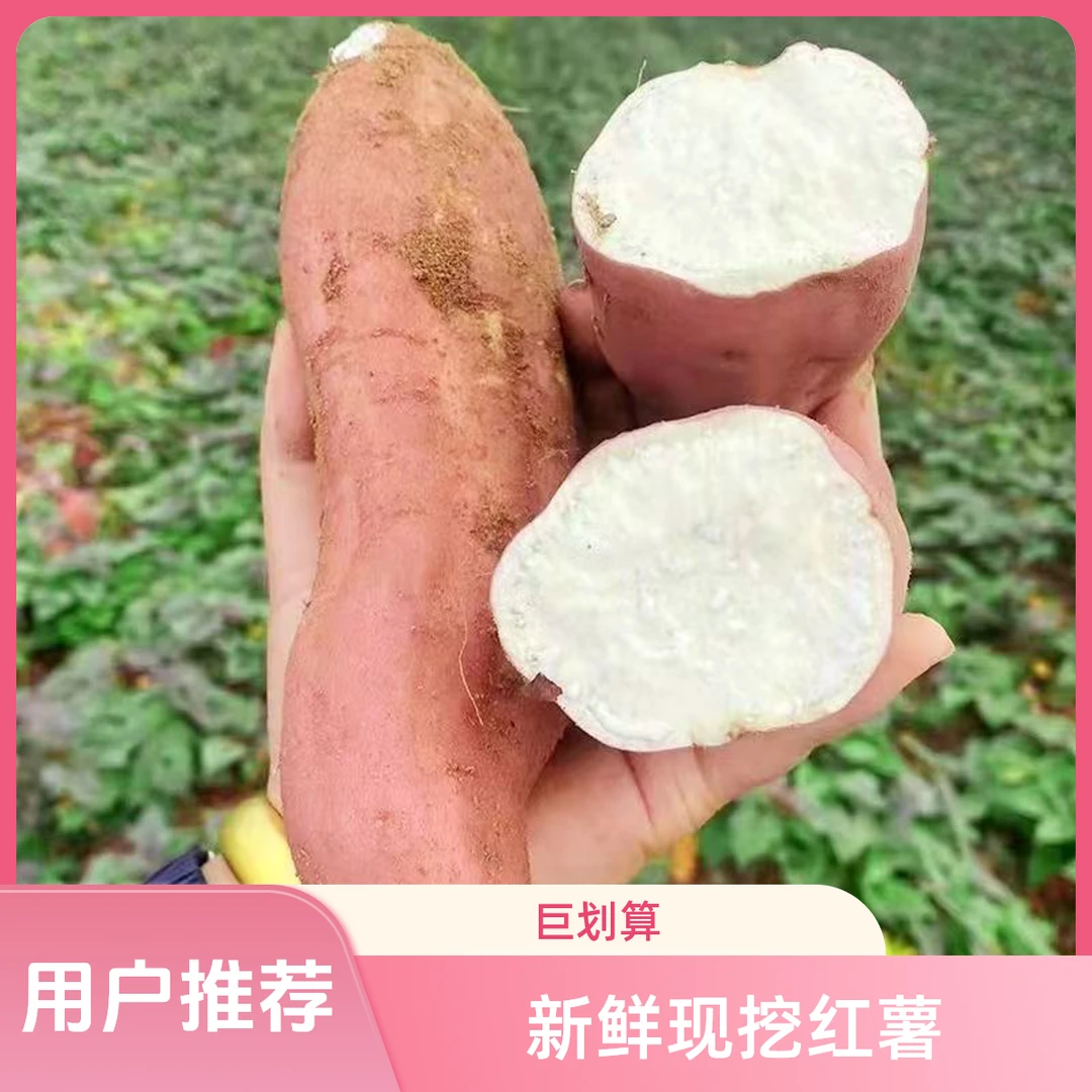 【哈密白红薯白玉地瓜】河南沙地冰糖心白哈密红薯5斤装新鲜番薯