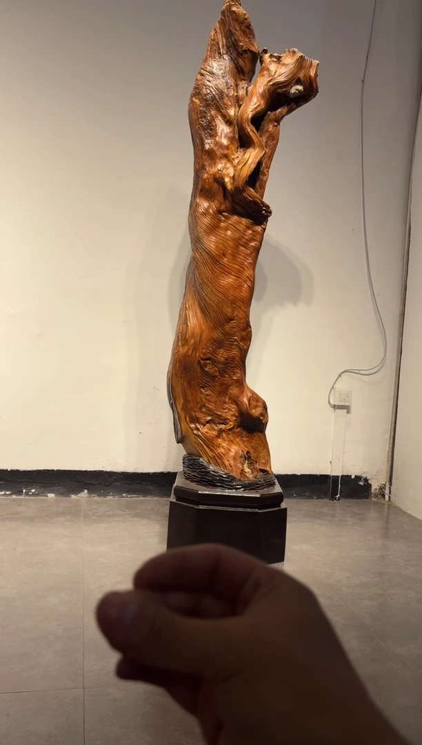 柏木（崖柏）土****司崖柏崖柏