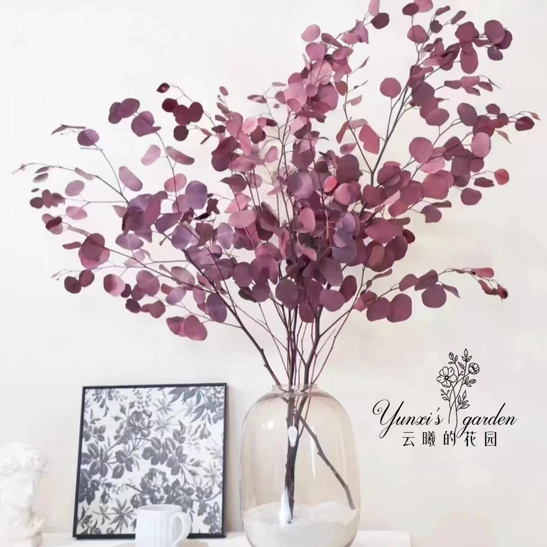 【永生花专场】AAA级桌面款苹果尤加利叶调性花材