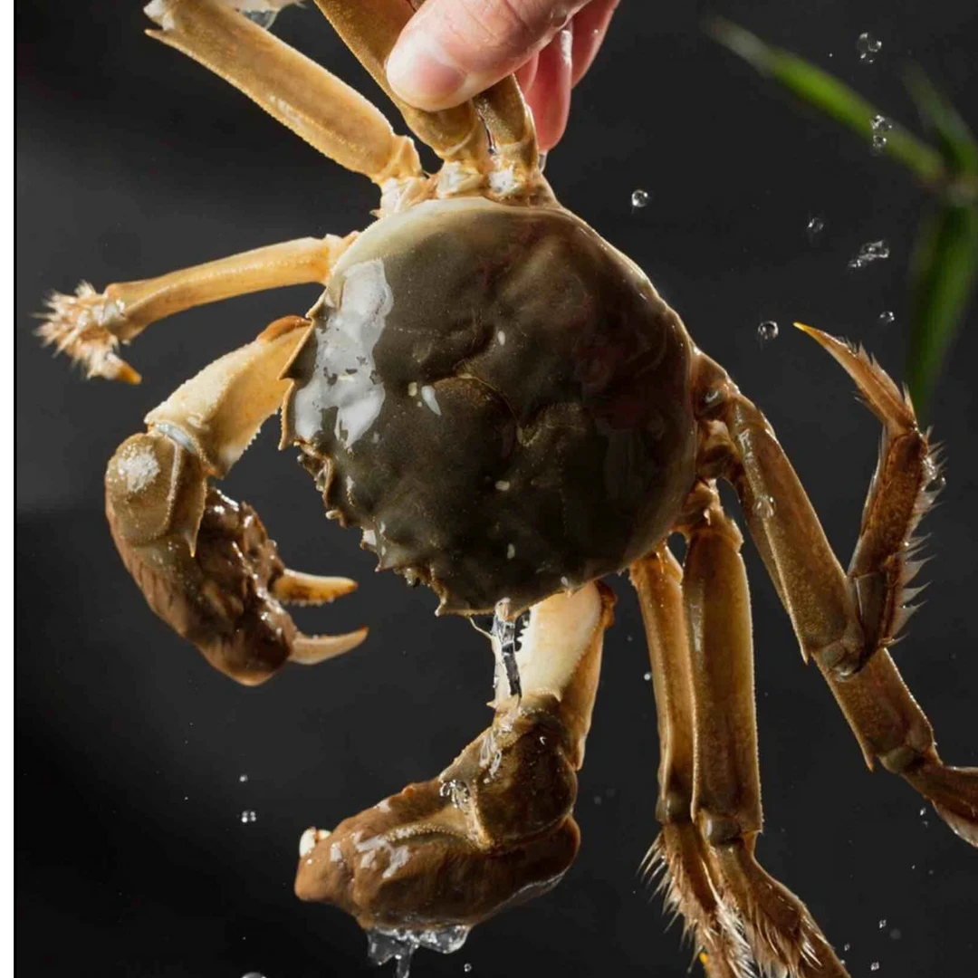 【活蟹】海上月活水湖养大闸蟹公3.0两3只母2.5两3只 新鲜顺丰冷链