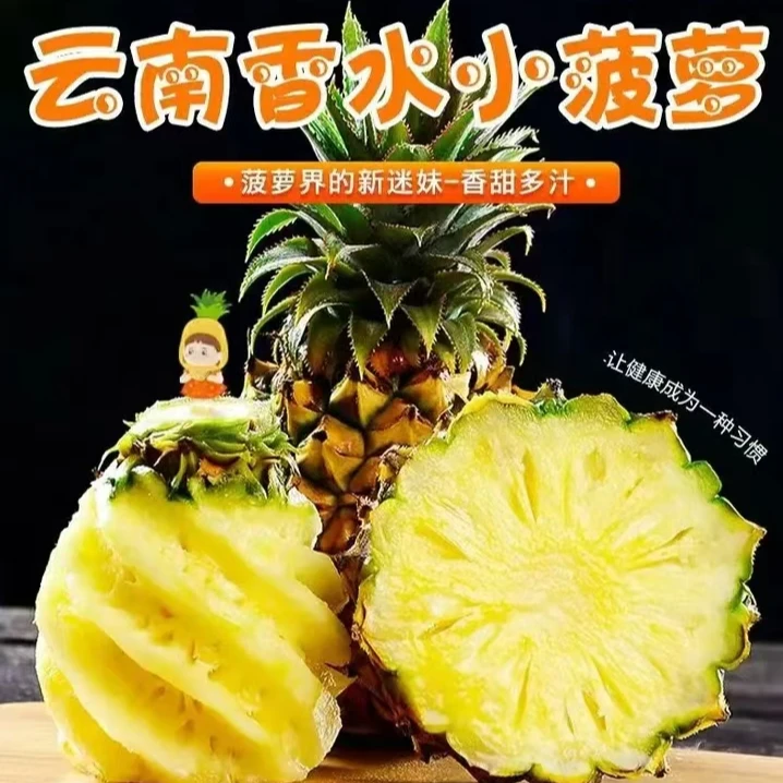 云南精品香水菠萝【现摘现发 高海拔地区香水菠萝】