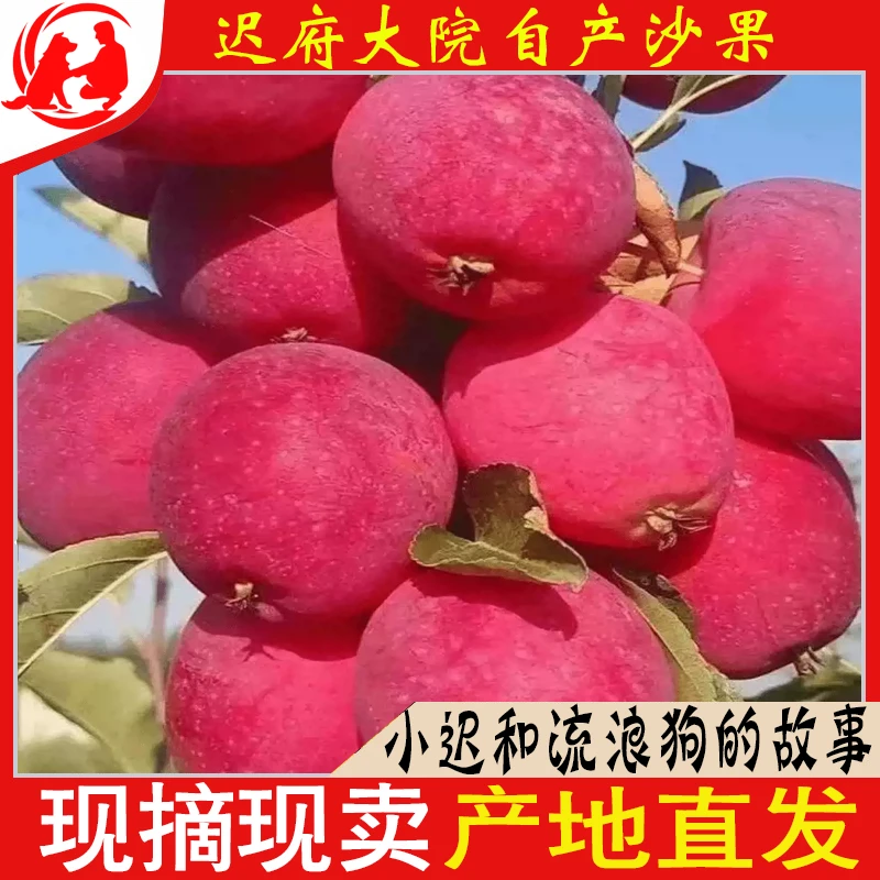 东北特产鸡心果脆甜多汁新鲜采摘新鲜发货5斤顺丰包邮