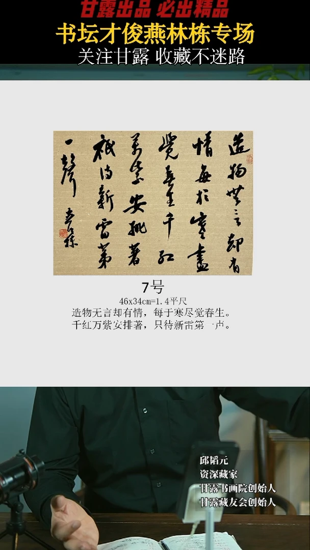 【闪购商品】书法燕林栋7号1516甘露美术馆