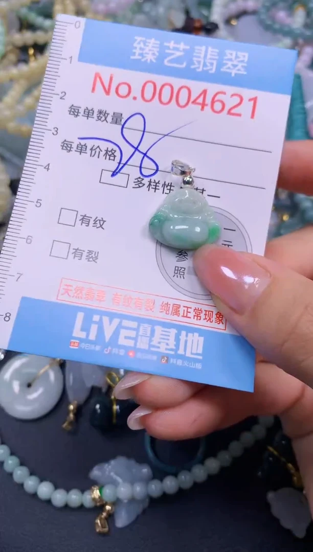 颈饰未镶嵌翡翠4621