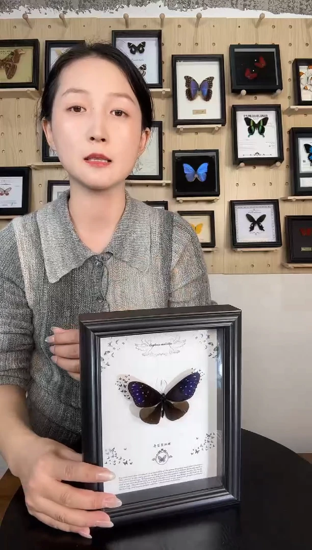 异型紫斑蝶蝴蝶装饰画7寸框