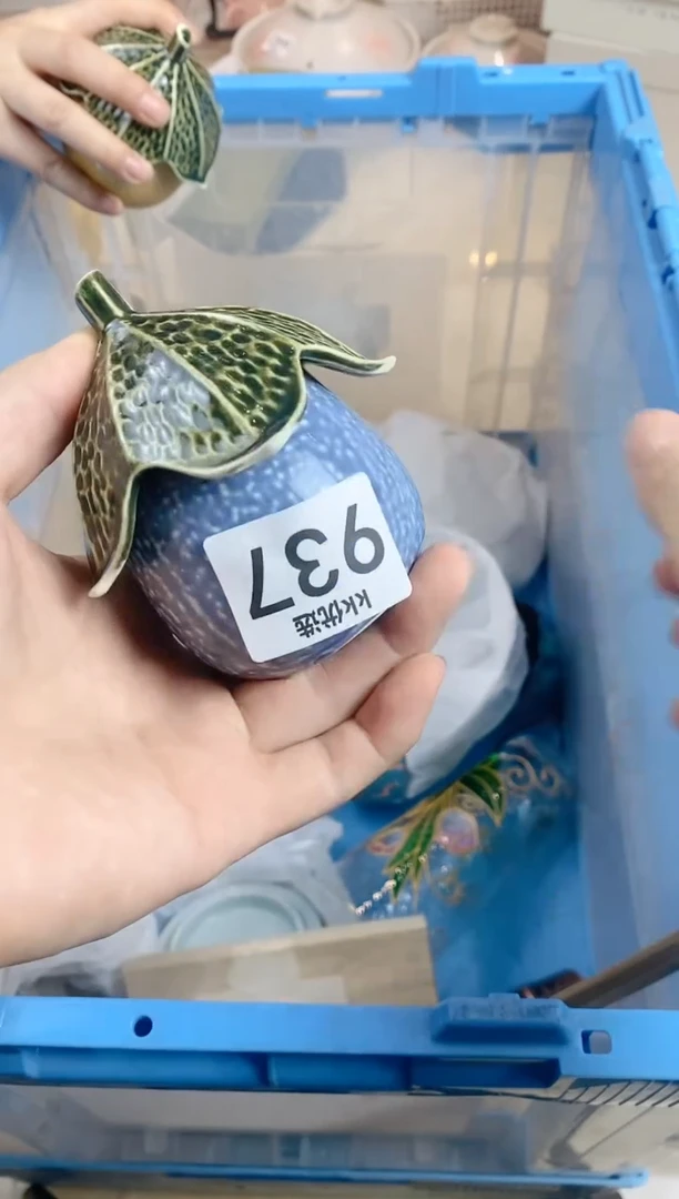 【闪购商品】瓷片937定向 低调的人生定向 低调的人生