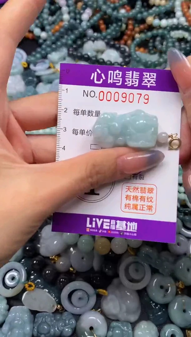 颈饰未镶嵌翡翠闪购009079