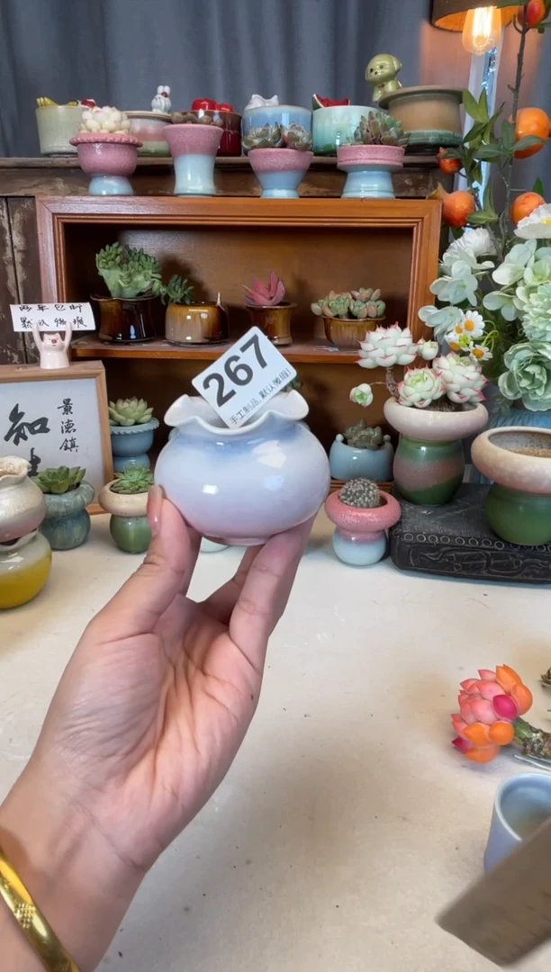 瓷片哈****️267知木小芳你花盆