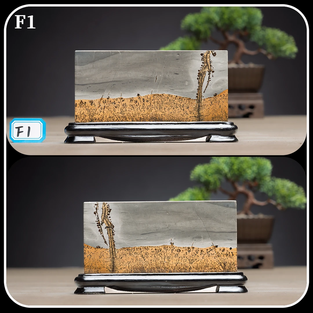 广西柳州国画石草花石奇石7×12CM带底座方形小薄片摆件F1-15