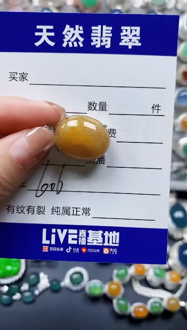 翡翠银S925镶嵌颈饰0606