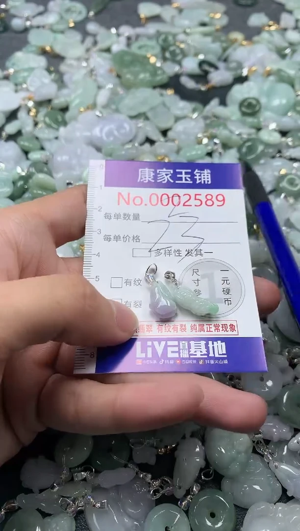 颈饰未镶嵌翡翠2589