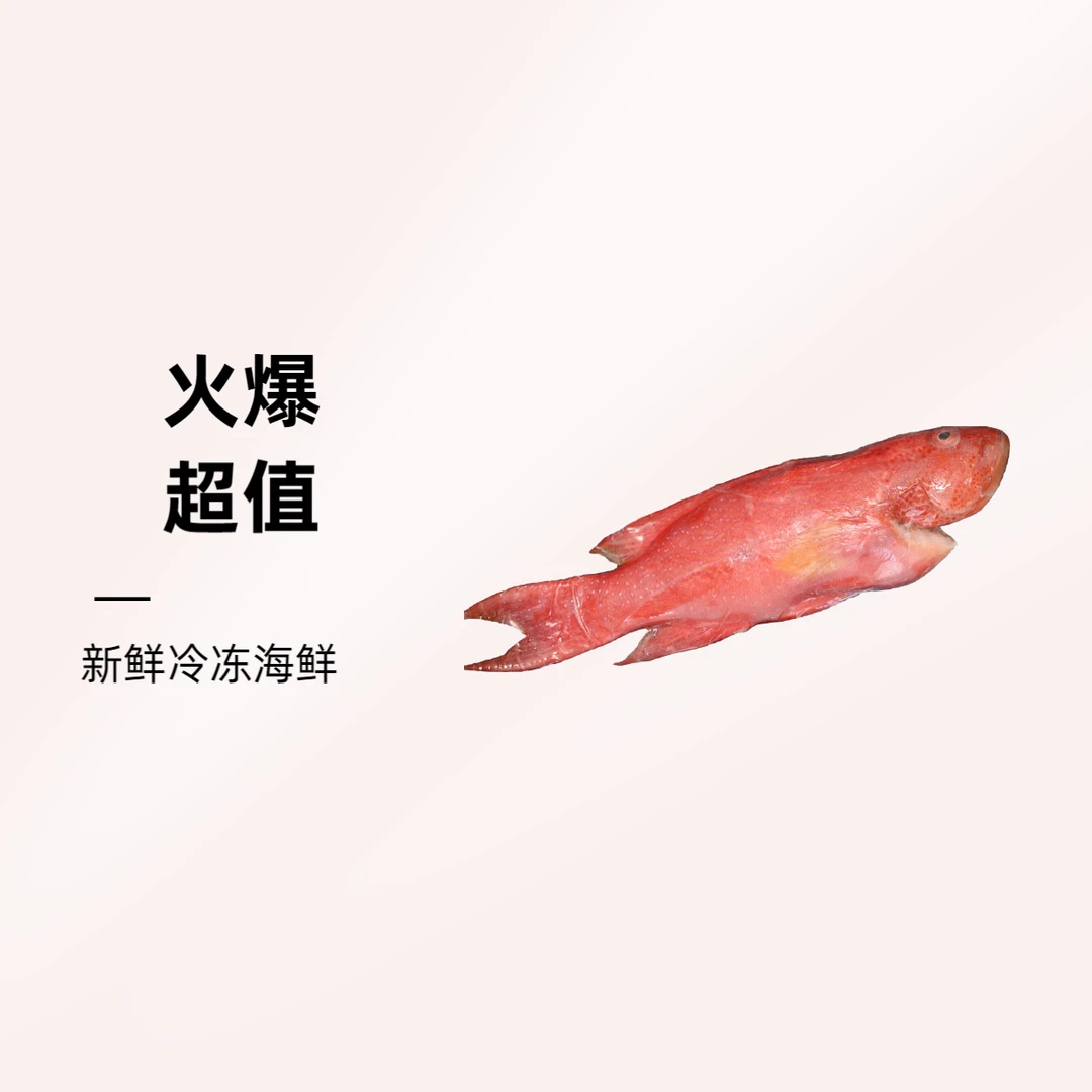 野生钓口燕尾东星斑-约350g-400g